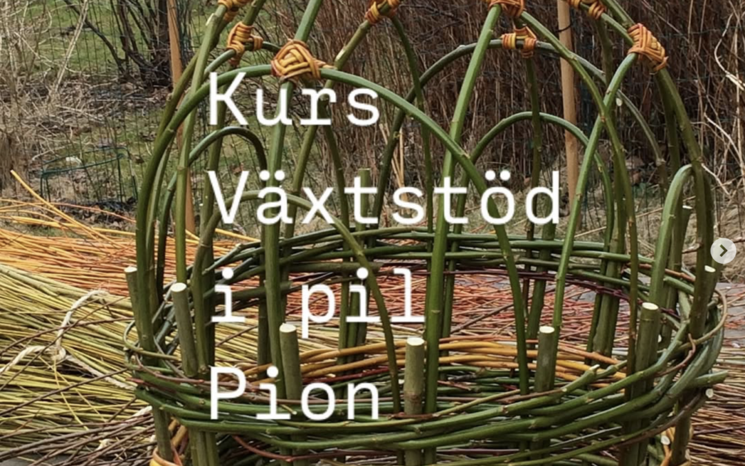 Trädgårdsflät i pil – delkurser